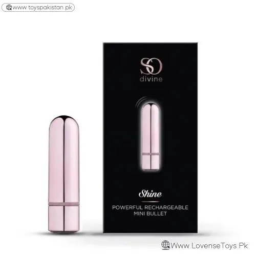 Shine Rechargeable Mini Bullet Vibrator