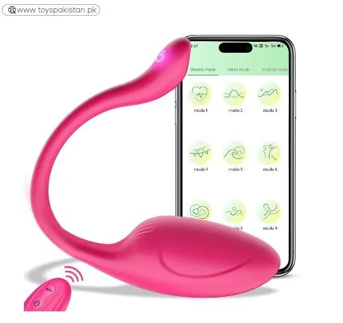 App Controlled Wearable Vibrator for Couples
