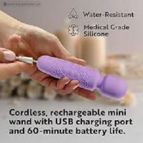 Lulu Wand Vibrator In Pakistan