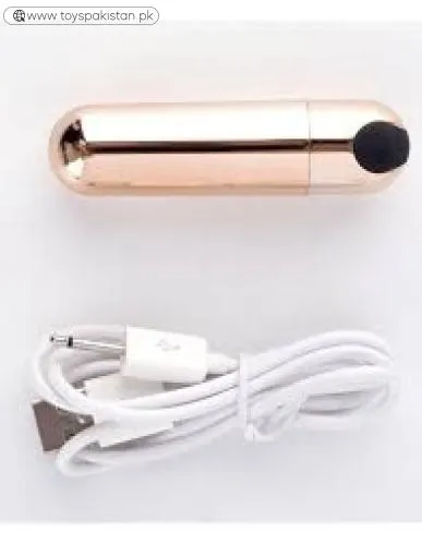 Shine Rechargeable Mini Bullet Vibrator