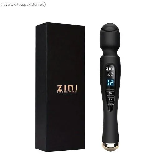 Vibrator Wand Massager for Women  Sex Toys